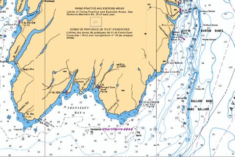 CAPE PINE TO/A RENEWS HARBOUR Marine Chart - Nautical Charts App