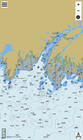 Baie Washicoutai Marine Chart - Nautical Charts App