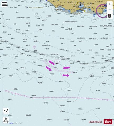Western Australia - Cow and Calf Rocks to Point Irwin Marine Chart - Nautical Charts App