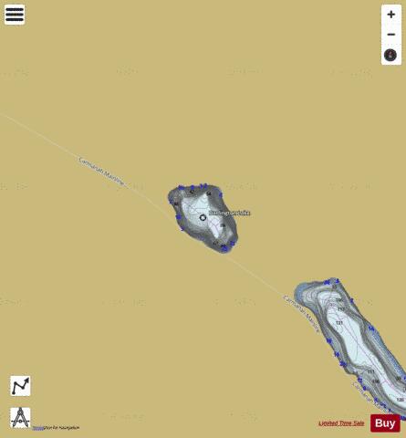 Darlington Lake depth contour Map - i-Boating App
