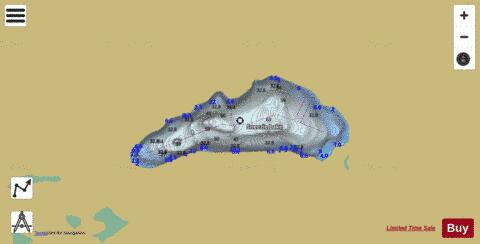 Sneezie Lake depth contour Map - i-Boating App