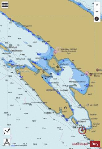 Montague Harbour Marine Chart - Nautical Charts App