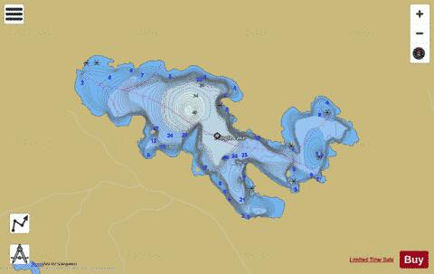 Pringle Lake depth contour Map - i-Boating App