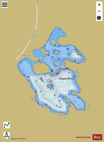 Upper Island Lake depth contour Map - i-Boating App