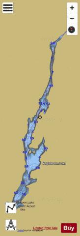 Angleworm Lake depth contour Map - i-Boating App