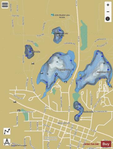 Brandy Lake depth contour Map - i-Boating App