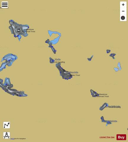 Rock Tree Lake depth contour Map - i-Boating App