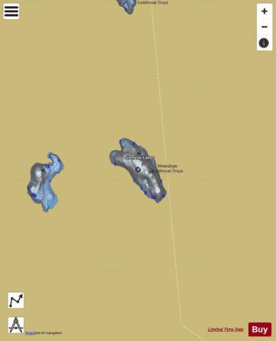 Siamese Lake, Lower depth contour Map - i-Boating App