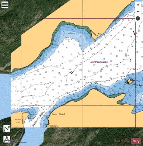 GOUDIES COVE Marine Chart - Nautical Charts App - Satellite