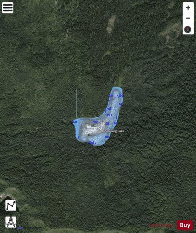 Boomerang Lake depth contour Map - i-Boating App - Satellite
