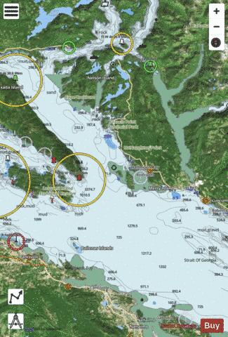Strait of Georgia, Central Portion\Partie Centrale (Part 1 of 2) Marine Chart - Nautical Charts App - Satellite