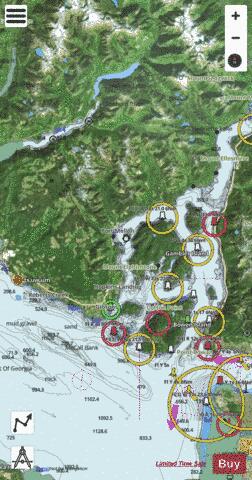 Strait of Georgia, Central Portion\Partie Centrale (Part 2 of 2) Marine Chart - Nautical Charts App - Satellite