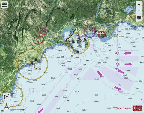 Pointe de Moisie a\to Ile du Grand Caouis Marine Chart - Nautical Charts App - Satellite