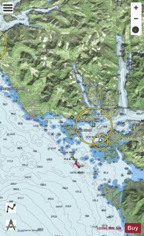 Esperanza Inlet (Western Portion, Part 1 of 2) Marine Chart - Nautical Charts App - Satellite