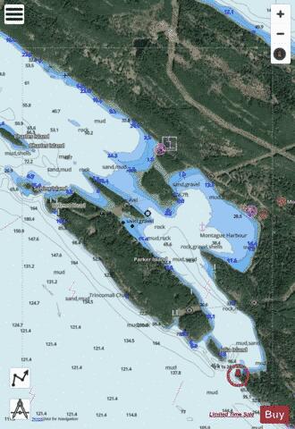 Montague Harbour Marine Chart - Nautical Charts App - Satellite