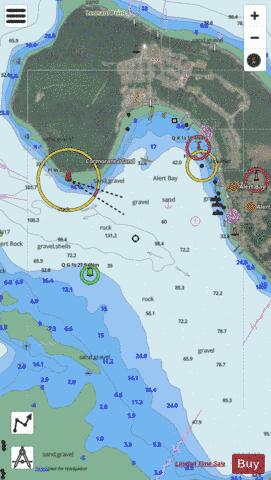 Alert Bay Marine Chart - Nautical Charts App - Satellite