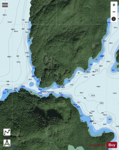 Draney Narrows Marine Chart - Nautical Charts App - Satellite