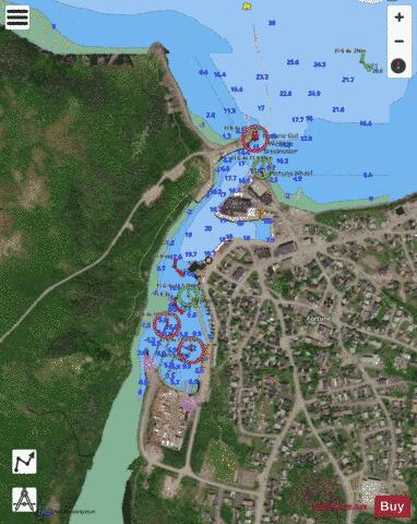 Fortune Harbour Marine Chart - Nautical Charts App - Satellite