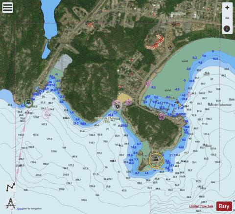 Tadoussac Marine Chart - Nautical Charts App - Satellite