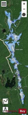 Tasso Lake depth contour Map - i-Boating App - Satellite