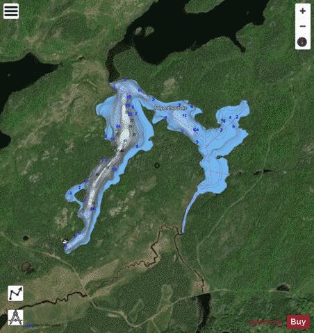 Polyanthus Lake depth contour Map - i-Boating App - Satellite