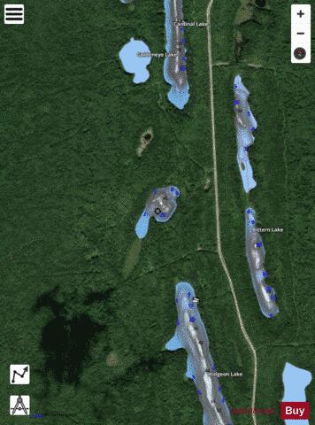 Pintail Lake depth contour Map - i-Boating App - Satellite