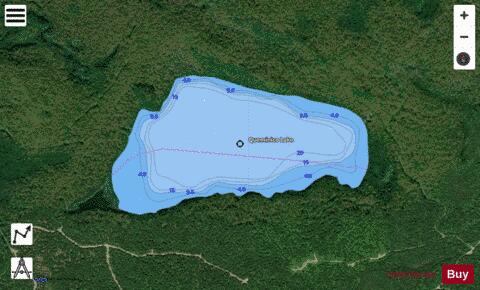Queminico Lake depth contour Map - i-Boating App - Satellite