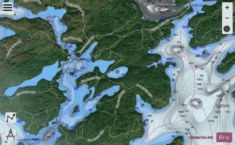 Narrows Pond depth contour Map - i-Boating App - Satellite