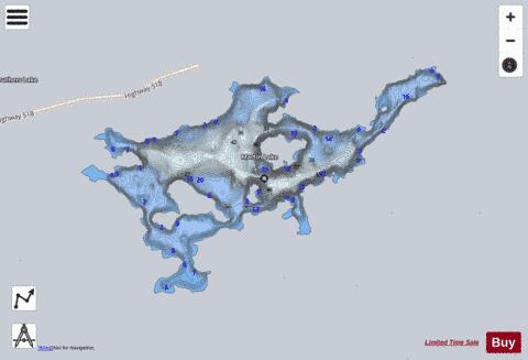 Martin Lake depth contour Map - i-Boating App - Satellite
