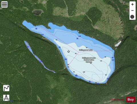 Fallingsnow Lake depth contour Map - i-Boating App - Satellite