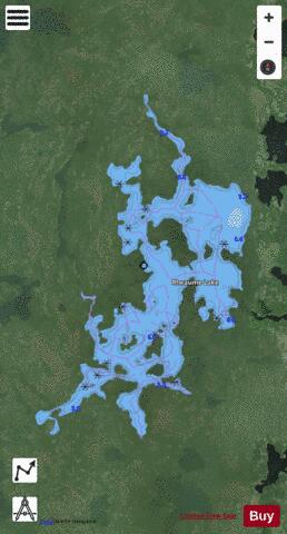 Rheaume Lake depth contour Map - i-Boating App - Satellite