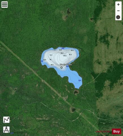 Woodrow Lake depth contour Map - i-Boating App - Satellite