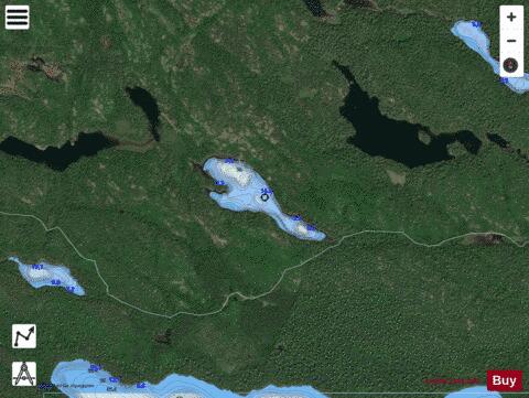 Burnt Lake depth contour Map - i-Boating App - Satellite