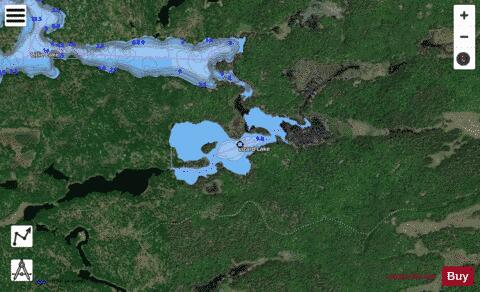 Lizard Lake depth contour Map - i-Boating App - Satellite
