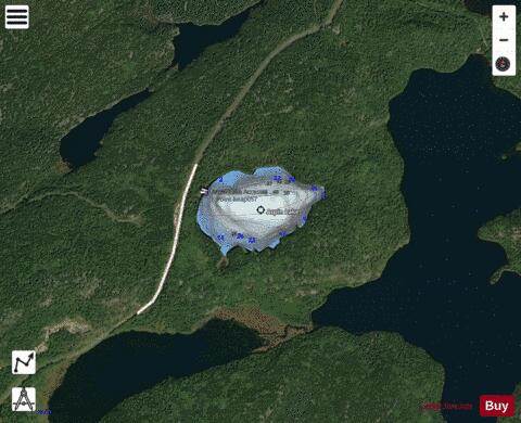 Arpin Lake depth contour Map - i-Boating App - Satellite