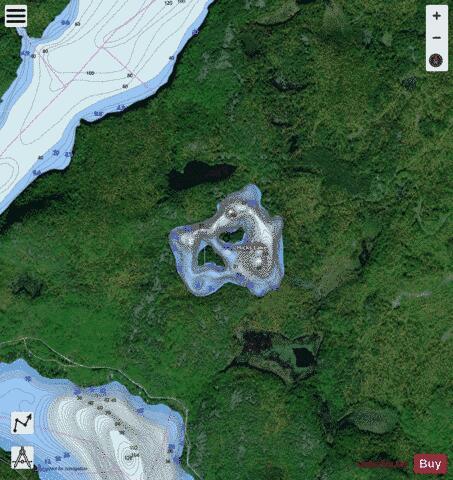 Hicks Lake depth contour Map - i-Boating App - Satellite