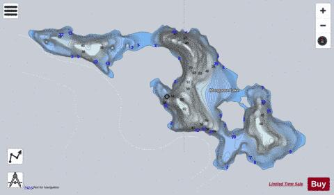 Mongoose Lake depth contour Map - i-Boating App - Satellite