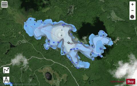 Pringle Lake depth contour Map - i-Boating App - Satellite