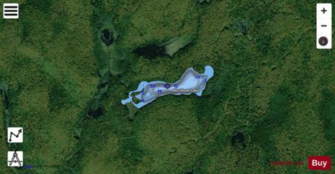 Wicklow Lake depth contour Map - i-Boating App - Satellite