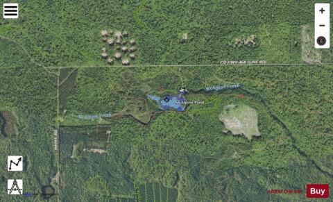 McAlpine Pond depth contour Map - i-Boating App - Satellite