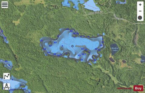 Swamp Lake depth contour Map - i-Boating App - Satellite