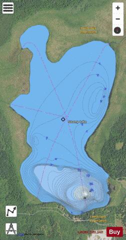 Lake Swamp depth contour Map - i-Boating App - Satellite