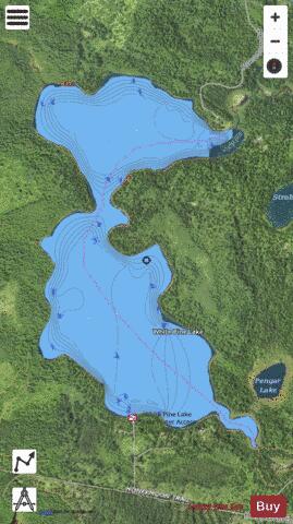 Lake White Pine depth contour Map - i-Boating App - Satellite