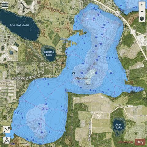 ALLIGATOR LAKE depth contour Map - i-Boating App - Satellite