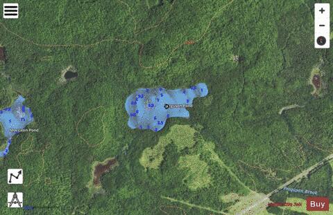 Ferguson Pond depth contour Map - i-Boating App - Satellite