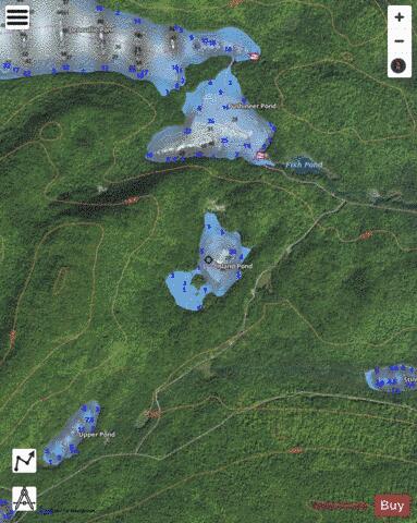 Island Pond depth contour Map - i-Boating App - Satellite