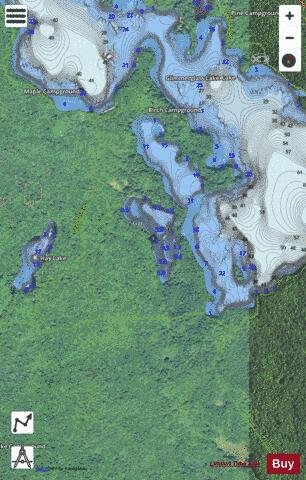 Glimmerglass Lake depth contour Map - i-Boating App - Satellite