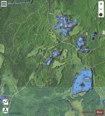 Thrush Lake depth contour Map - i-Boating App - Satellite