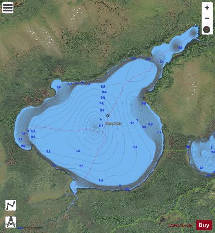 Betsy Lake depth contour Map - i-Boating App - Satellite