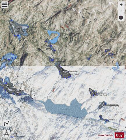 Rock Tree Lake depth contour Map - i-Boating App - Satellite